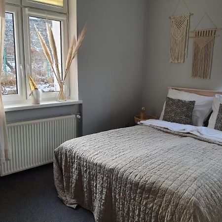 Apartamenty Deptak - W Centrum Karpacza, Parking W Cenie! Екстериор снимка