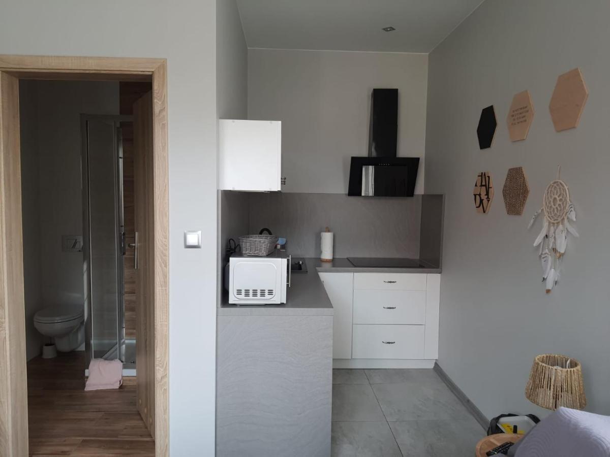 Apartamenty Deptak - W Centrum Karpacza, Parking W Cenie! Екстериор снимка