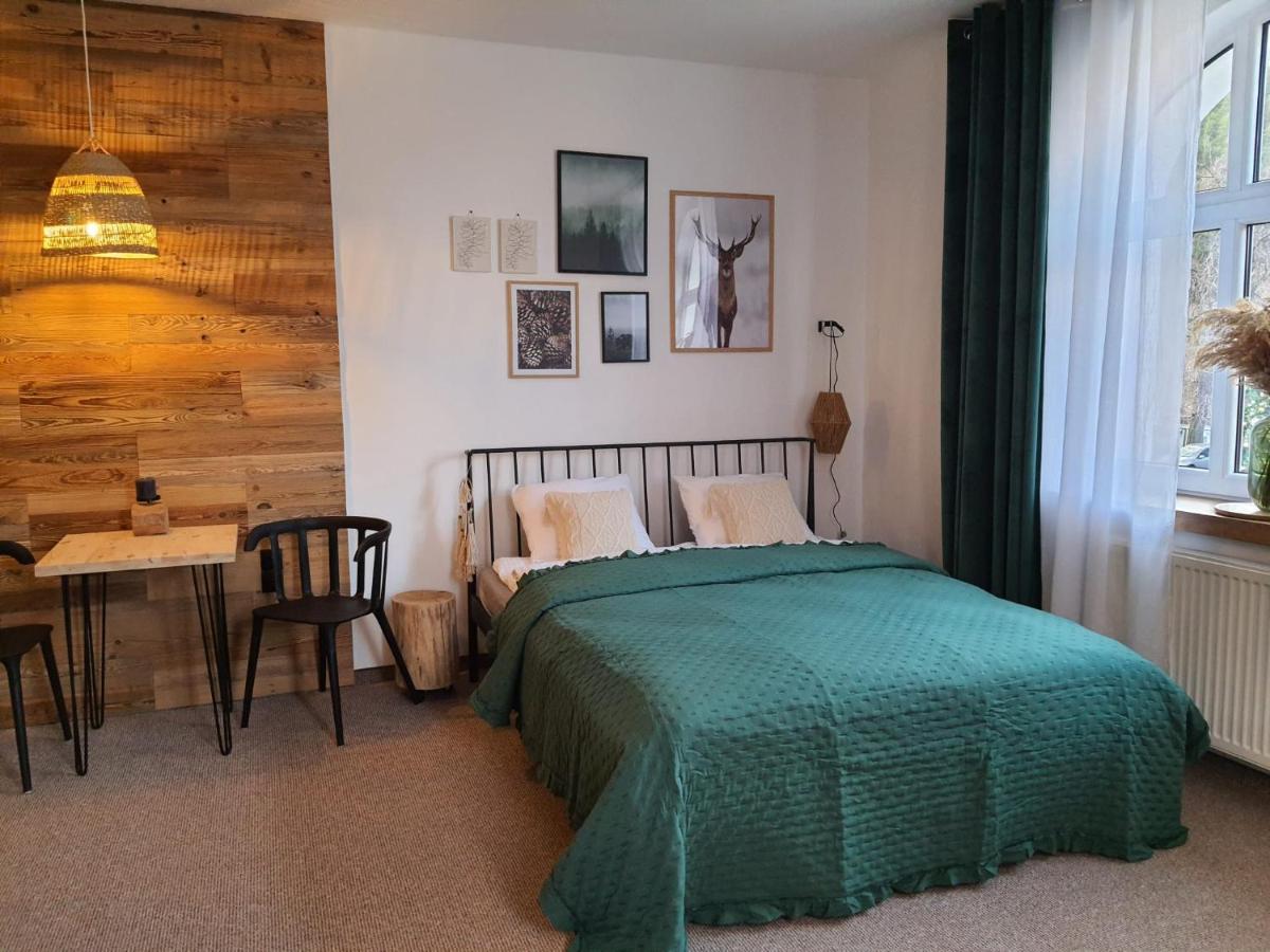 Apartamenty Deptak - W Centrum Karpacza, Parking W Cenie! Екстериор снимка
