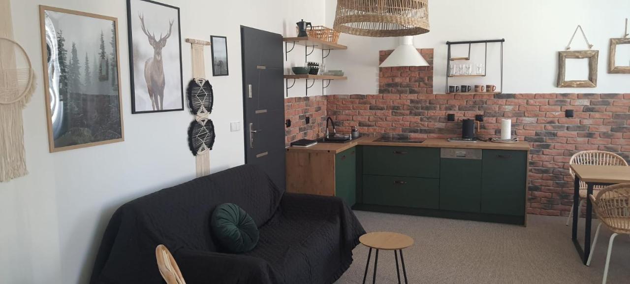 Apartamenty Deptak - W Centrum Karpacza, Parking W Cenie! Екстериор снимка